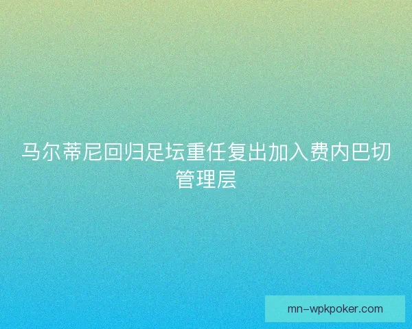 马尔蒂尼回归足坛重任复出加入费内巴切管理层