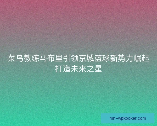 菜鸟教练马布里引领京城篮球新势力崛起打造未来之星