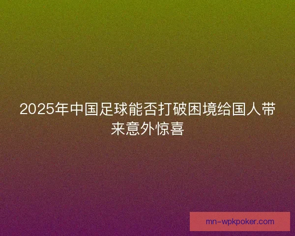 2025年中国足球能否打破困境给国人带来意外惊喜
